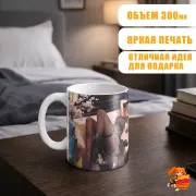 Кружка Wuthering Waves Санхуа