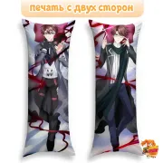 Дакимакура Honkai Star Rail Вельт