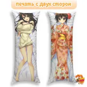 Дакимакура Kanojo no Seiiki