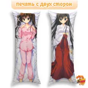 Дакимакура Kanojo no Seiiki