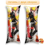 Дакимакура Reborn Возрождение