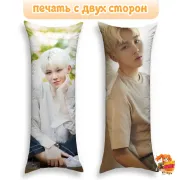Дакимакура SEVENTEEN Джошуа и The8