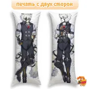 Дакимакура Zenless Zone Zero Фон Ликаон