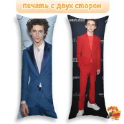 Дакимакура Тимоти Шаламе