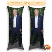 Дакимакура Валерий Меладзе