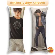 Дакимакура Джи Чан Ук Ji Chang-wook