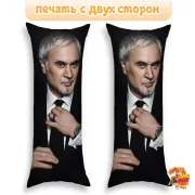 Дакимакура Валерий Меладзе