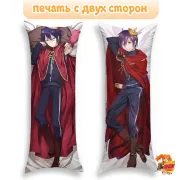 Дакимакура Бездомный бог