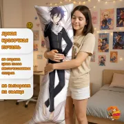 Дакимакура Бездомный бог