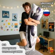 Дакимакура Бездомный бог