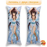 Дакимакура Великие помыслы Оды Нобуны