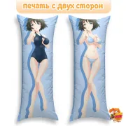Дакимакура Врата Штейна
