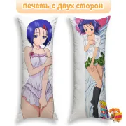 Дакимакура Любовные неприятности
