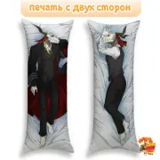 Дакимакура Невеста чародея