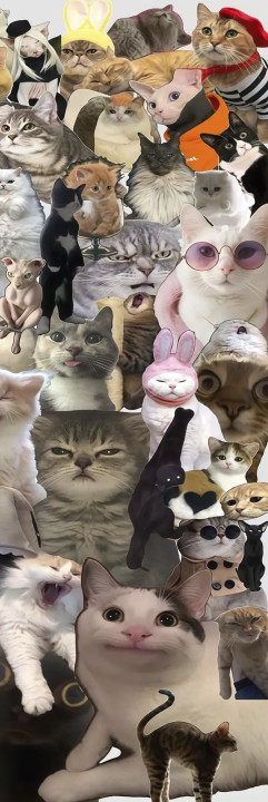 38